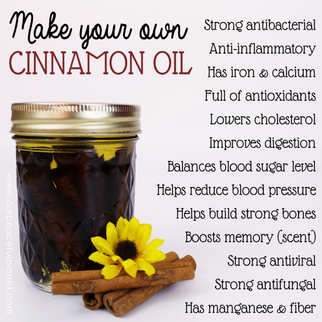 it-s-easy-to-make-cinnamon-oil-our-peaceful-planet