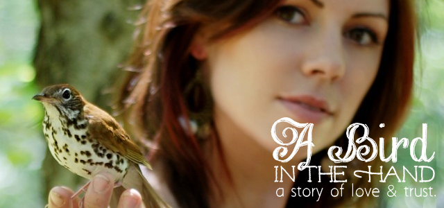 A Bird in the Hand : A Story of Love & Trust