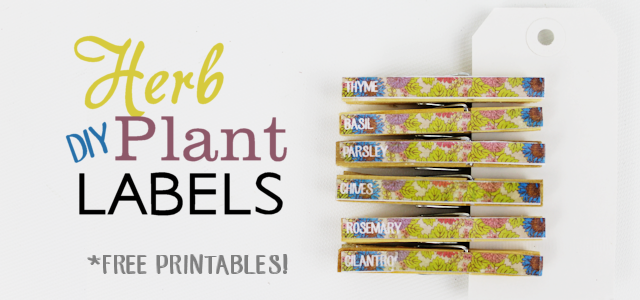 Herb Plant Labels DIY (Free Printables!)