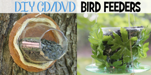 Turn Old CD's & Plastic Cups into Bird Feeders