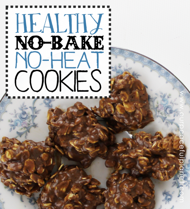 Healthy No Bake Cookies (No Heat Too!)
