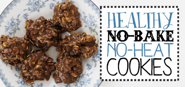 Healthy No Bake Cookies (No Heat Too!)