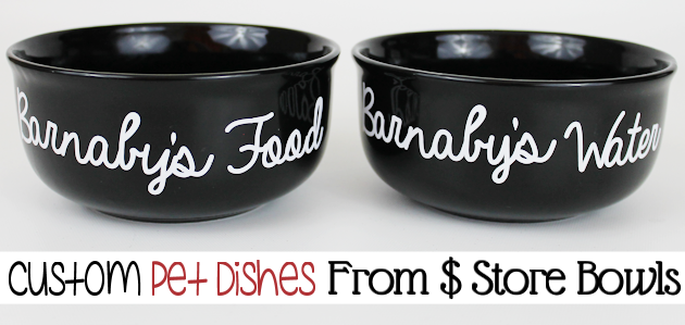 Make some quick personalized dog bowls from Dollar Store ceramic dishes! You can easily label them or paint them with your dog or cats name. Very classy!