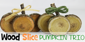 Easy DIY Fall Decorations : Wood Slice Pumpkin Trio
