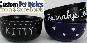 Personalized Dog Bowls from Dollar Store Dishes