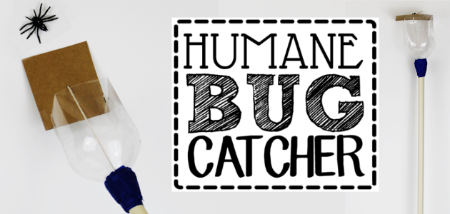 How to Make a Humane Bug Catcher