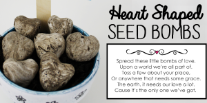 DIY Heart Shaped Wildflower Seed Bombs