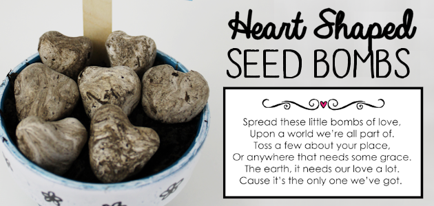 DIY Heart Shaped Wildflower Seed Bombs FE