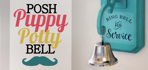 We'll show you how to potty train a dog or puppy to easily ring a bell when they need to go out. We've also got a great tutorial on how to make the bell!