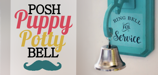 How to Potty Train a Dog to Use a Bell & How to Make One!