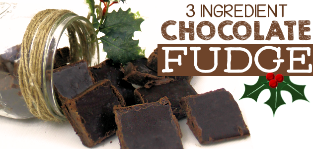 Quick 3 Ingredient Healthy Chocolate Fudge Recipe!