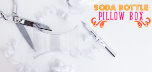 We'll show you how to make a pillow box from almost any size of soda bottle. Wrapped in ribbon they are a perfect unique way to give a small gift or treats!
