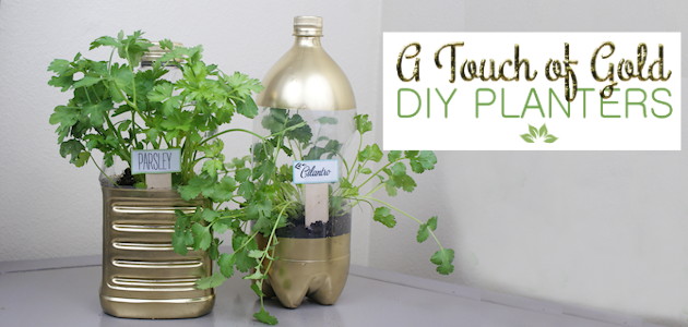 A Touch of Gold DIY Planters from Soda Bottles