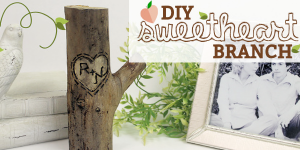 How to Make a Gift Idea for Couples Sweetheart Branch