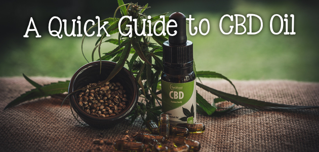 A Quick Guide to CBD Oil for Pain, Anxiety and More!