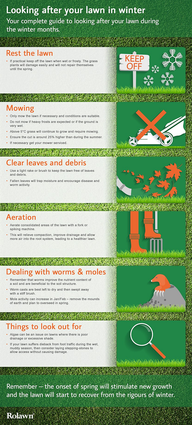 Cold weather reaches most of us and if you have a yard it needs some special care. Read our great tips on how to prep your yard for winter!