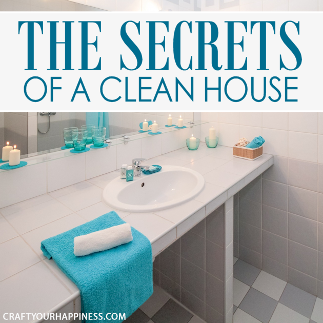 If you struggle to keep your home clean fear not! Good ideas abound to make it not only faster but easier! Learn a few of our secrets of a clean house. 