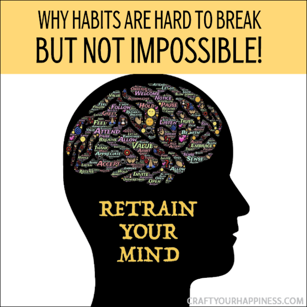 Every wonder why habits are hard to break? Stop beating yourself up. It's not weakness its physiology! And yes, you can change it!