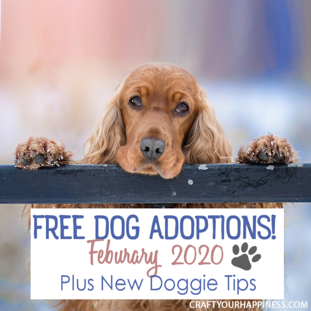 In February 2020 Coors Light is offering to pay for free dog adoptions! Read the details and also get some doggie tips for your new family member. 