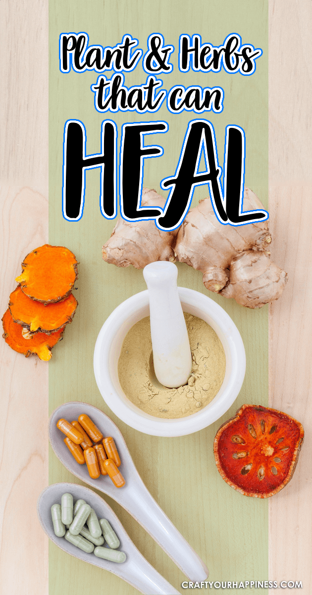 Herbs are amazing and many have the ability to help and even heal many conditions. They are safe and inexpensive. Below are a few herbs that can heal. 