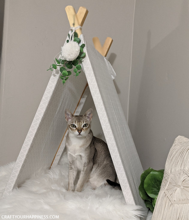 If you're a cat person (or looking for an awesome gift for someone who is) we'll show you how easy it is to make a DIY cat teepee from an old TV tray!