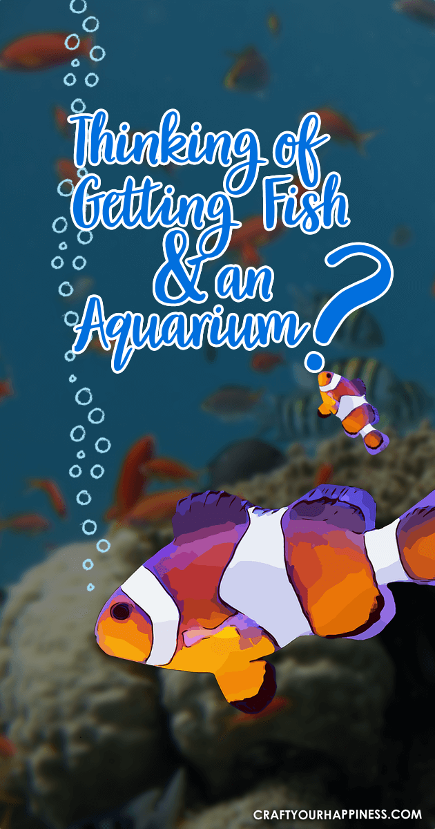 Despite being "lower" maintenance, buying pet fish should be done carefully. Here are some Tips if Your Thinking of Getting Fish and an aquarium.