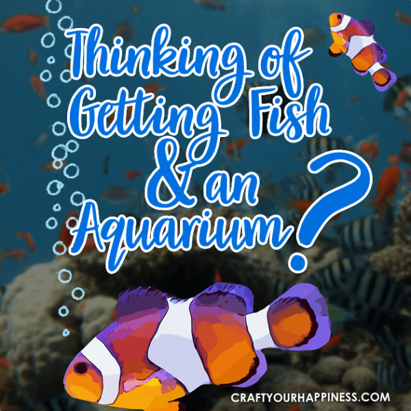 Tips if Your Thinking of Getting Fish and an Aquarium