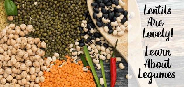 Lentils are Lovely! Learn About Legumes