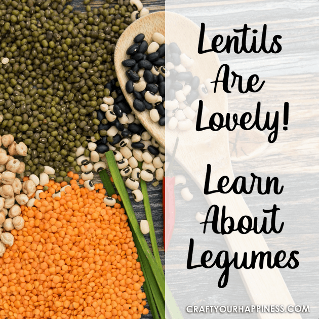 They are a group of plant foods which make up some of the most delicious and nutritional products available. learn about lentils and check out our recipe!