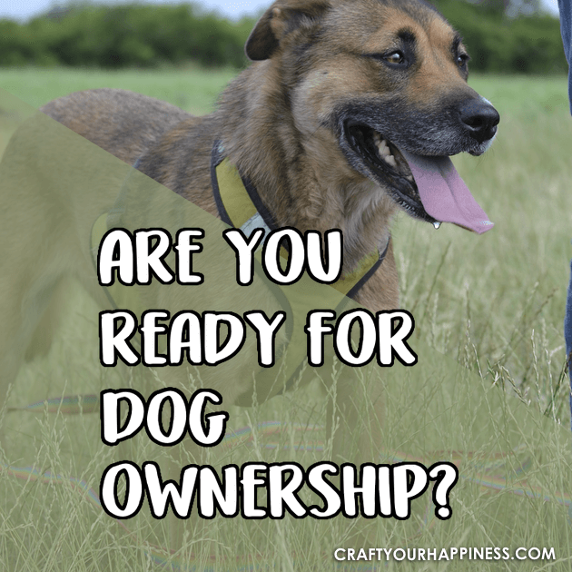 Here are some things to think about along with pointers and tips to help you answer the question Are You Ready For a Dog?