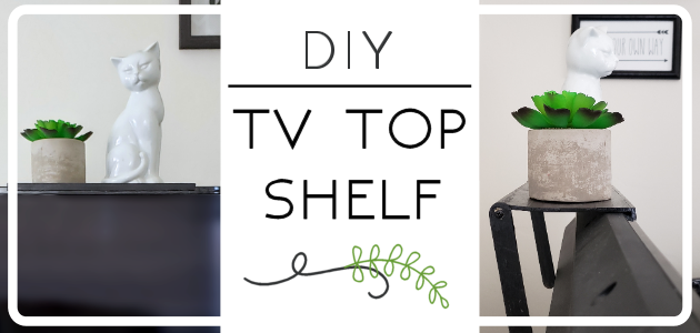 Top of deals tv shelf