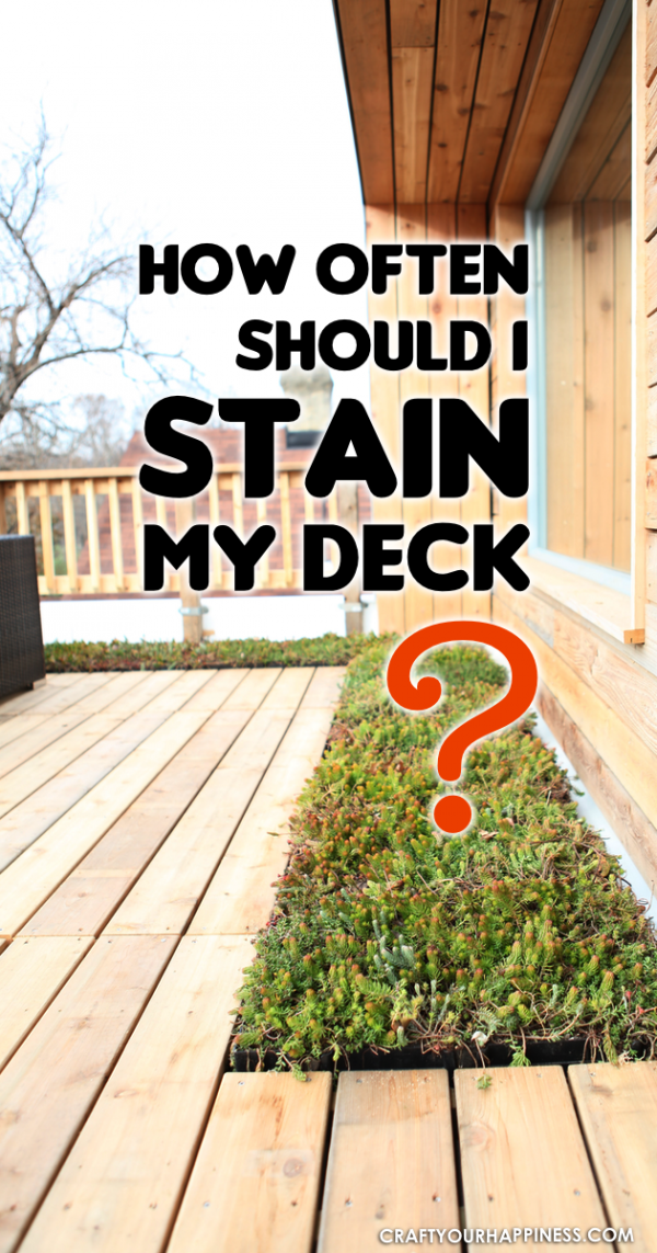 How Often Should I Stain My Deck?