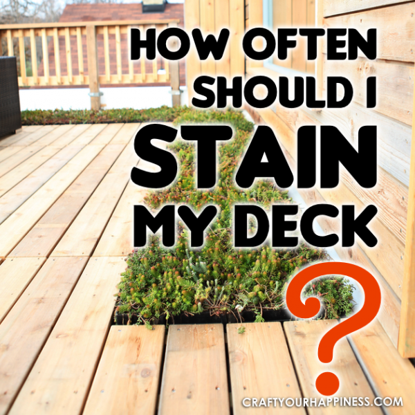 How Often Should I Stain My Deck?