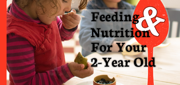 Feeding and supplying enough nutrition for your toddler is a tough yet necessary task. Read this for some helpful tips.