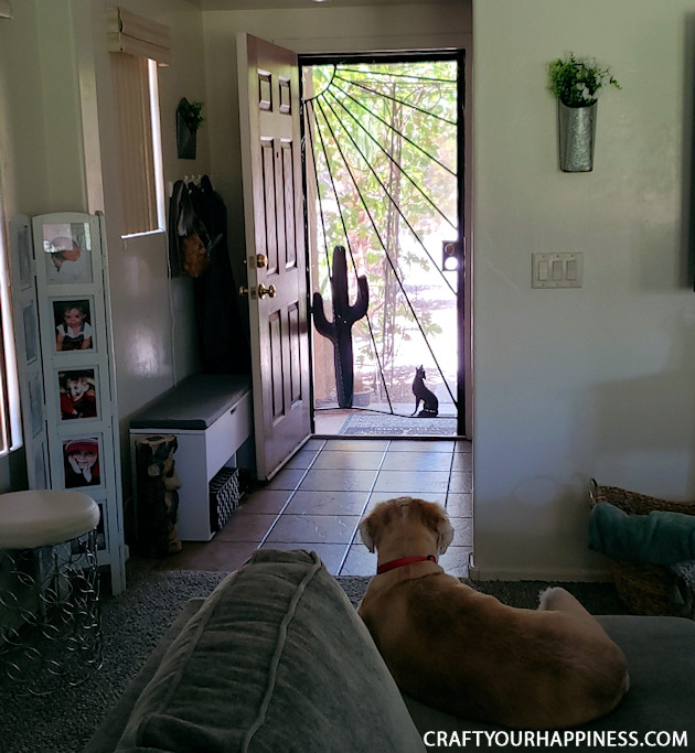 If you live where it's extremely hot or cold and have a screen door with no glass here is a fairly simple DIY removable clear screen door cover you can make for minimal cost.