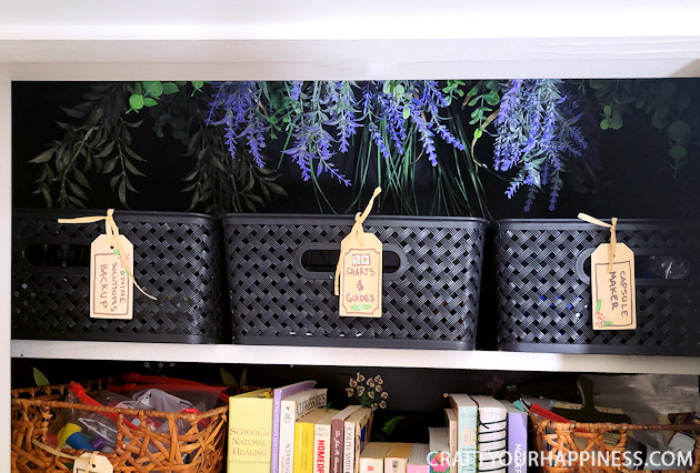 There's never been a more magical way to organize your supplements using a small closet that you'll want to crawl right into! 