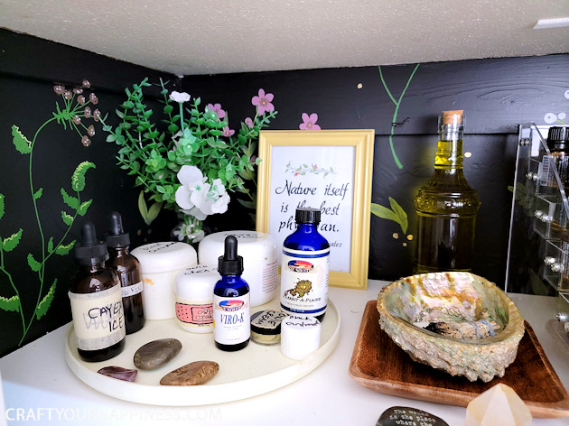 There's never been a more magical way to organize your supplements using a small closet that you'll want to crawl right into! 