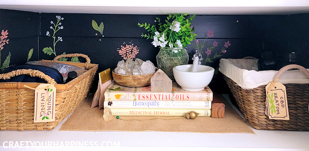 There's never been a more magical way to organize your supplements using a small closet that you'll want to crawl right into! 