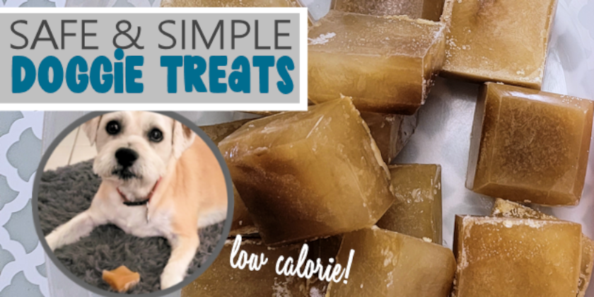 Looking for inexpensive low-calorie dog treats to make that can also last more than a few seconds? Check out our super easy puppy pops!