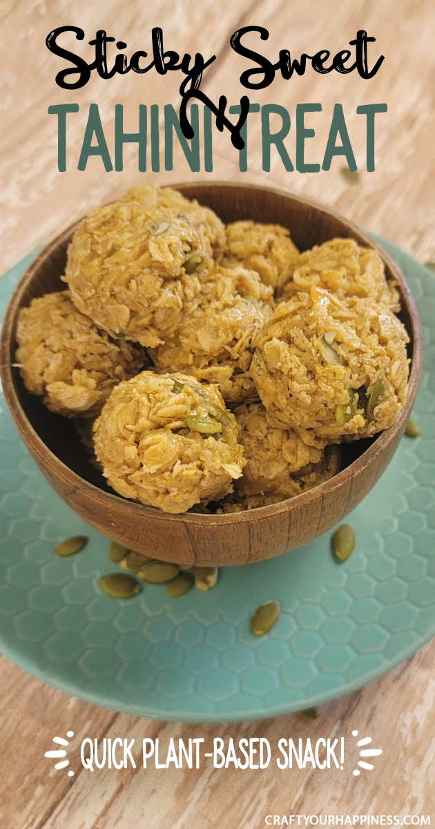 You can make this easy healthy plant-based energy balls snack with a few basic ingredients that's guaranteed to satiate any sweet tooth! 