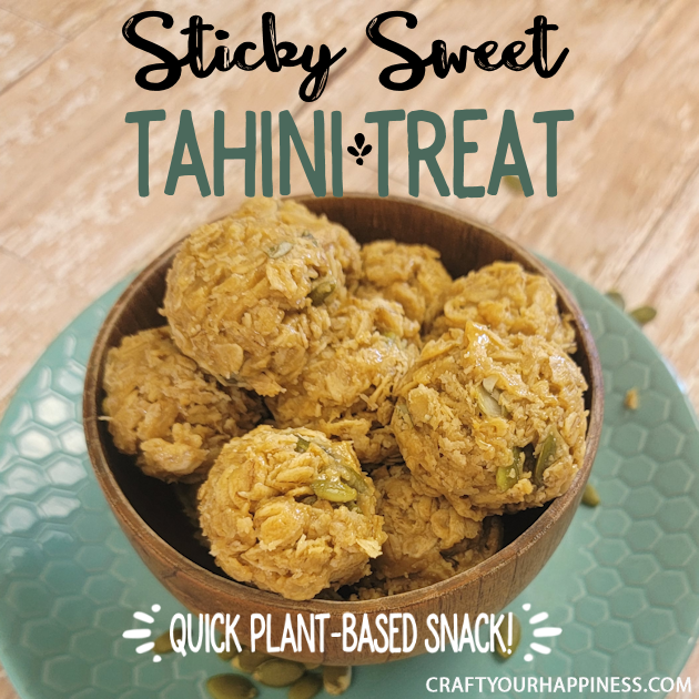 You can make this easy healthy plant-based energy balls snack with a few basic ingredients that's guaranteed to satiate any sweet tooth! 
