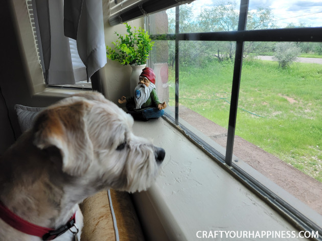 If you're looking for some inspiration for your home you will LOVE our home office library makeover with a window seat. It's beyond magical!